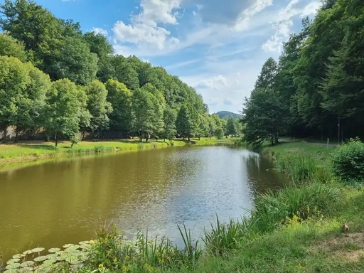 Lemberger Weiher neben dem Stellplatz
