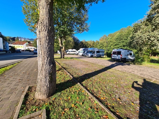 Stellplatz mit Blick auf den Waldhang
