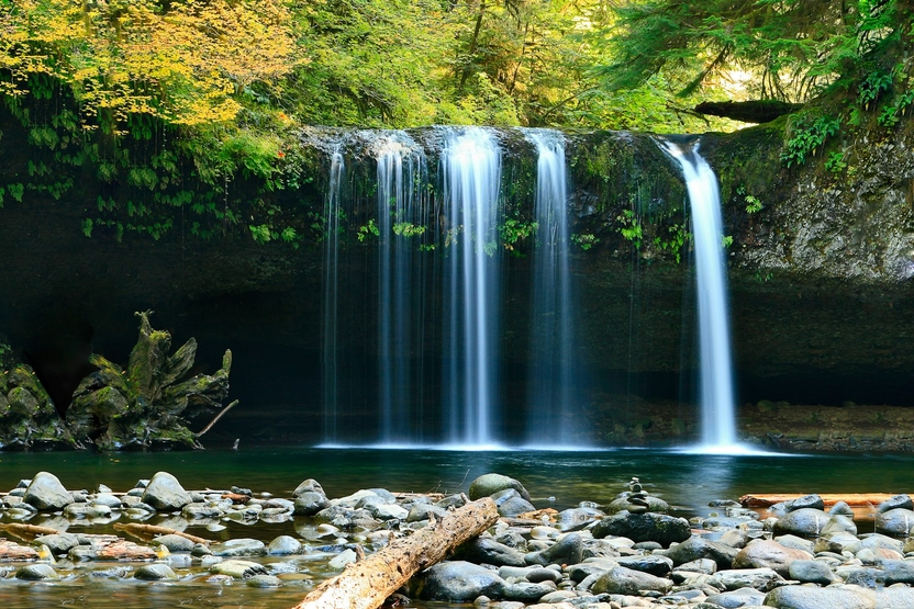 Waldbach und Wasserfall – Flößeinrichtung im Storrbachtal