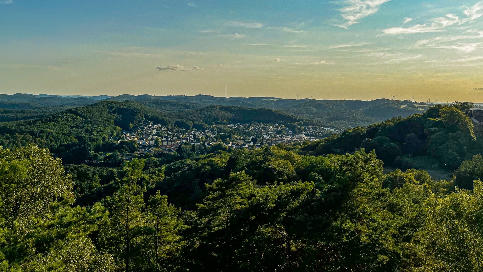 Blick auf Lemberg im Pfälzerwald